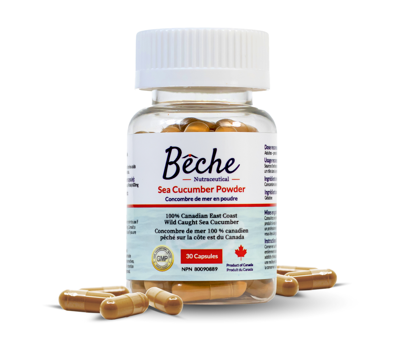 Bêche Sea Cucumber Powder Supplement