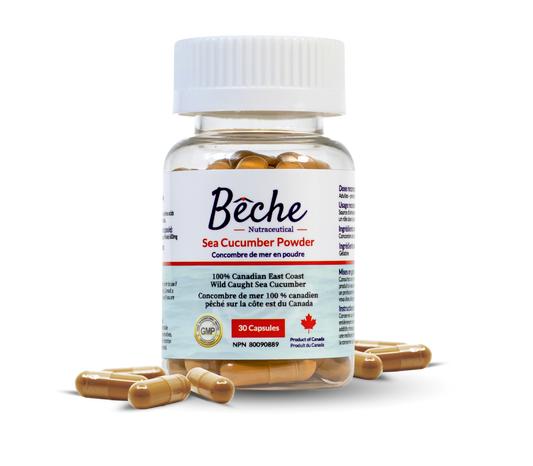 Bêche Sea Cucumber Powder Supplement