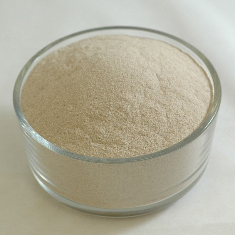 PSYLLIUM HUSK POWDER