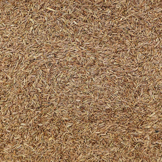 CARAWAY SEEDS, whole