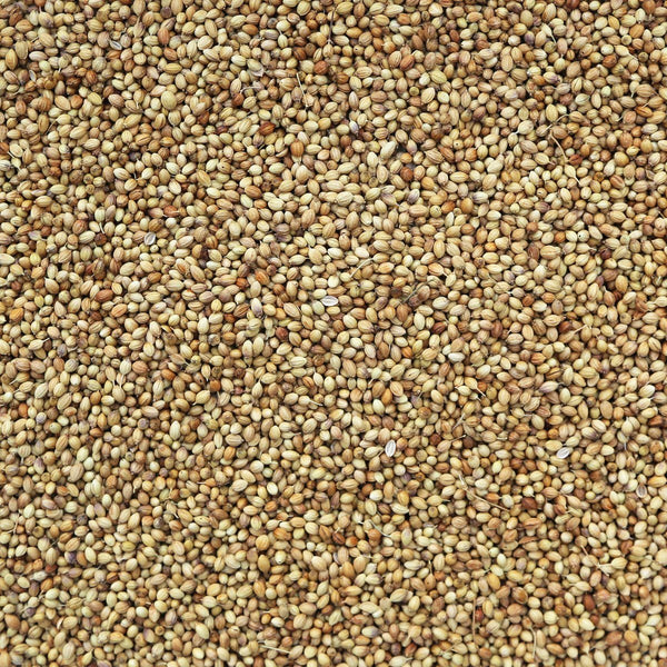 CORIANDER SEEDS, whole